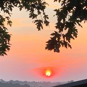 Meet your Posher, Tonya